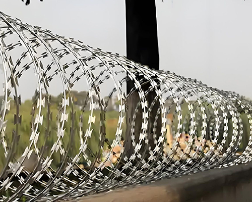 barbed wire
