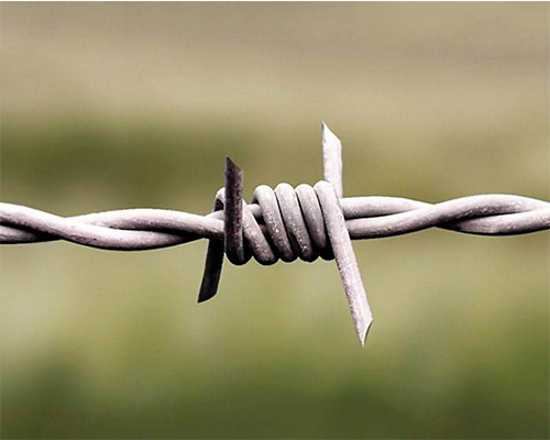 Double stranded barbed rope